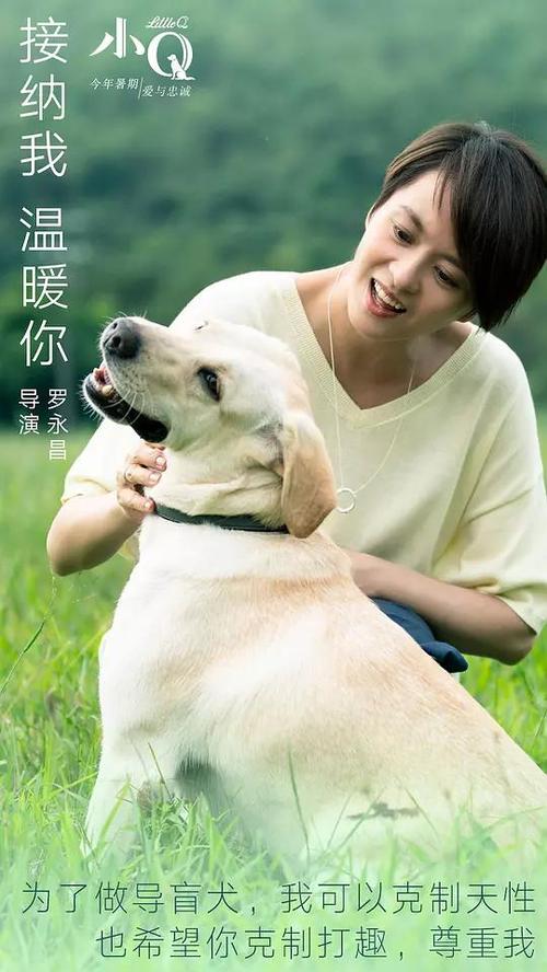 代办卡玛森三一学院文凭毕业证